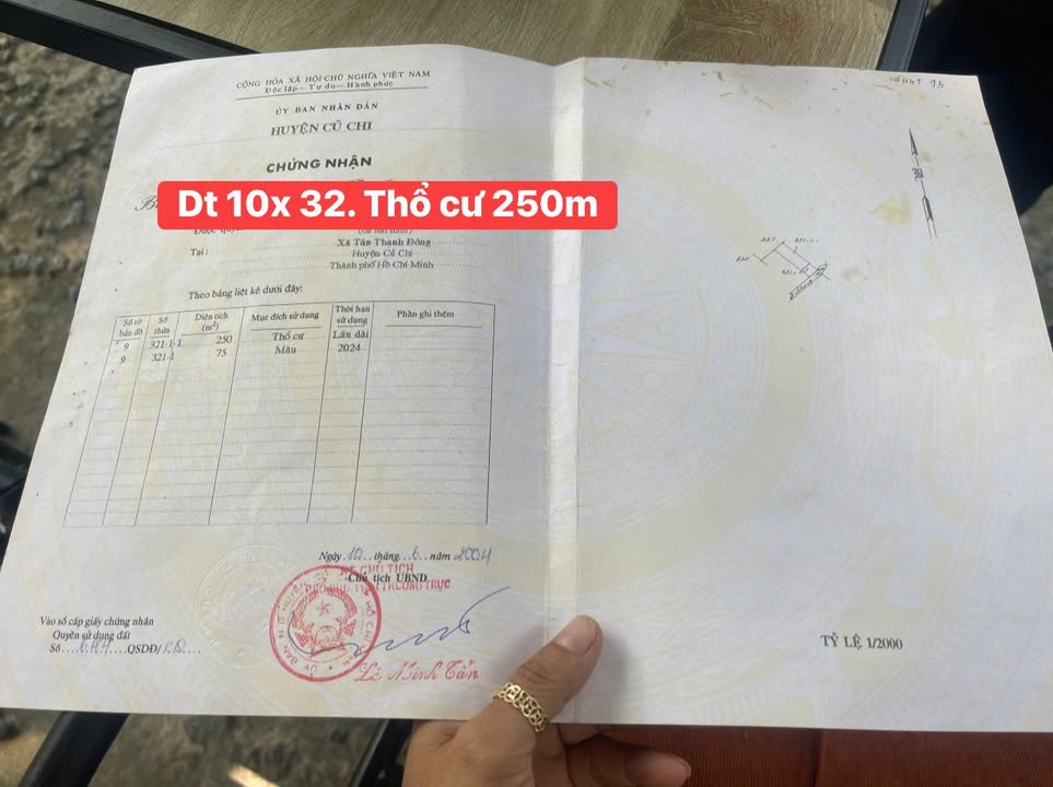 Đất thổ cư 320m² Tân Thạnh Đông, Củ Chi - Đầu tư sinh lời dễ dàng!