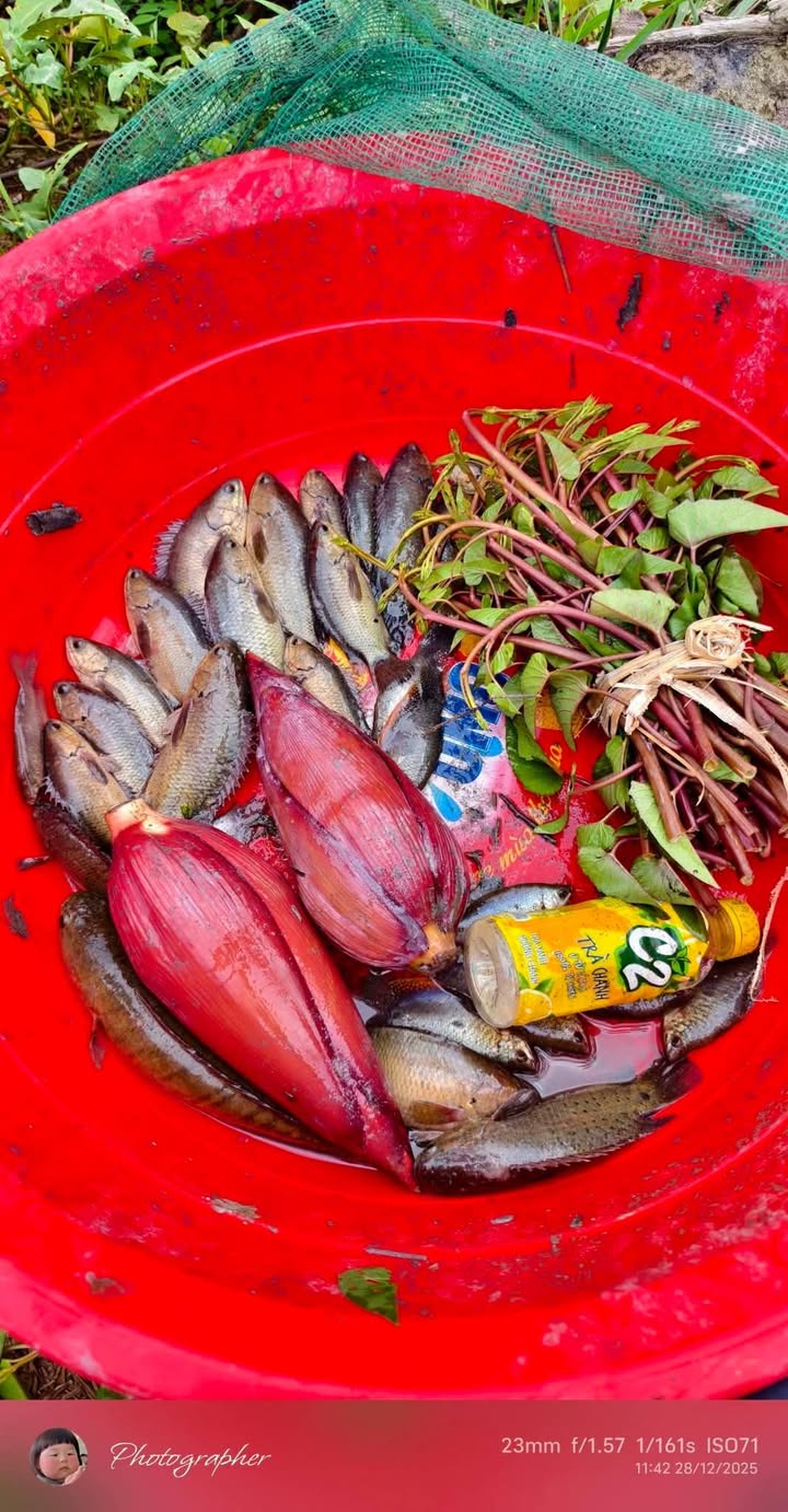 Đất nền 2 mặt tiền Đông Bình, Thới Lai 2000m² giá 5 tỷ - Đầu tư sinh lời hấp dẫn!