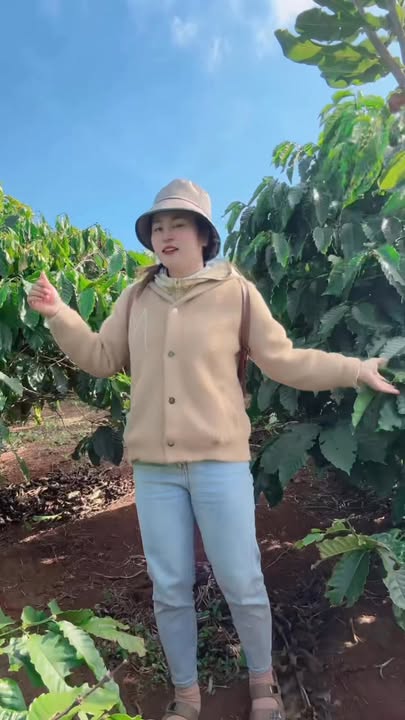 Lô đất Farm 1ha tại xã Ea Ral, Đắk Lắk - Tiềm năng đầu tư lớn!