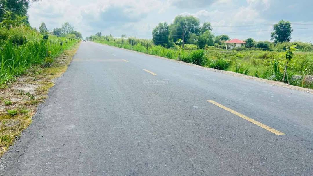 Đất nền mặt tiền tỉnh lộ 908, xã Thành Trung, 523m² giá 1 tỷ - Cơ hội đầu tư sinh lời!