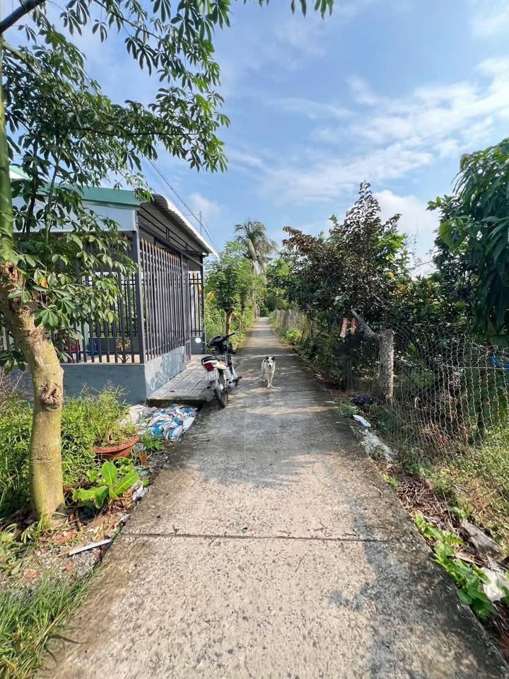 Đất nền Cái Vồn, Bình Minh 103m² giá 300 triệu - Đầu tư sinh lời ngay!