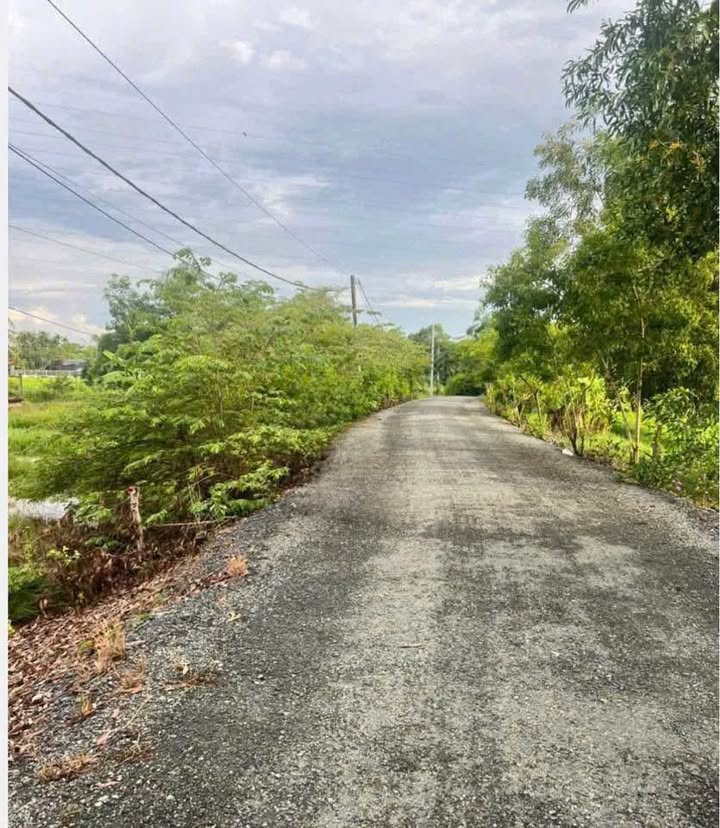 Đất vườn Tân Túc, Bình Chánh 270m² giá 3 tỷ - Cơ hội hiếm có!