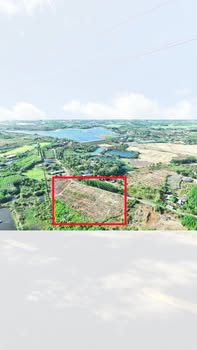 Bán đất mặt tiền đường nhựa xã Phước Long Thọ 1.000m² - Đầu tư tiềm năng sinh lời!