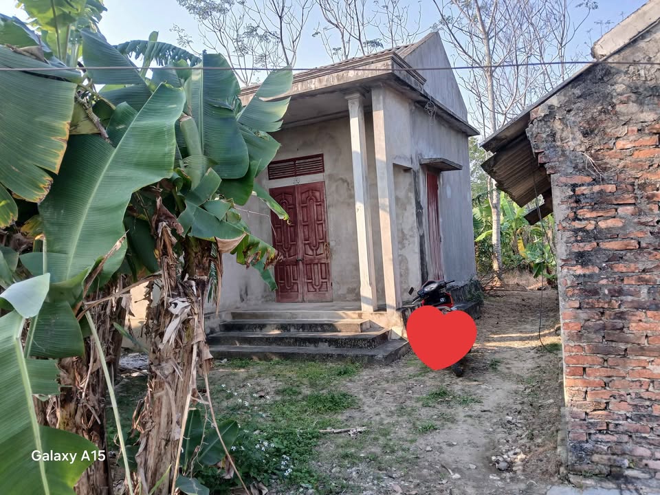 Đất nền Quảng Ngọc, Thanh Hóa 7105m² giá 980 triệu - Cơ hội đầu tư vàng!