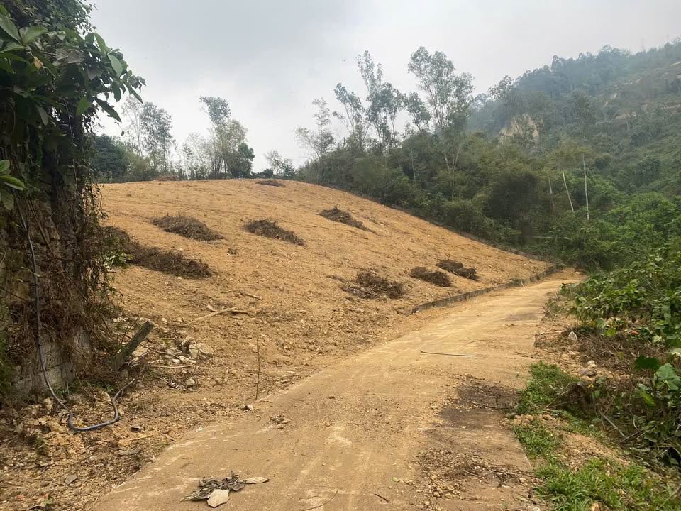 Đất nền Phú Cát Quốc Oai 2000m² - Tiềm năng đầu tư sinh lời cao!