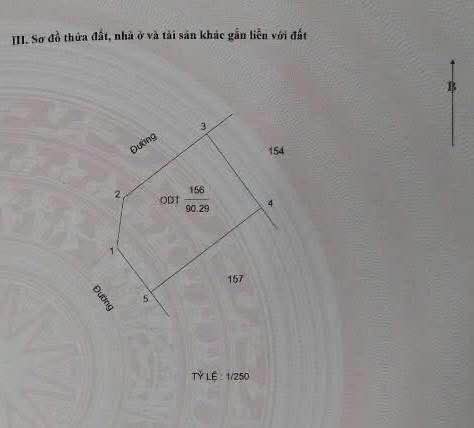 Lô đất Khu Đô Thị Dệt Nam Định 91m² giá 8 tỷ - Lô góc 2 mặt tiền rộng rãi!