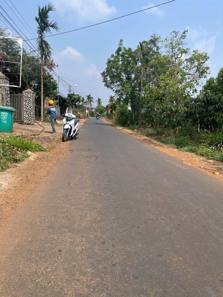 Đất Cư Suê 200m² giá 1.32 tỷ - Vị trí đắc địa, kinh doanh thuận lợi!