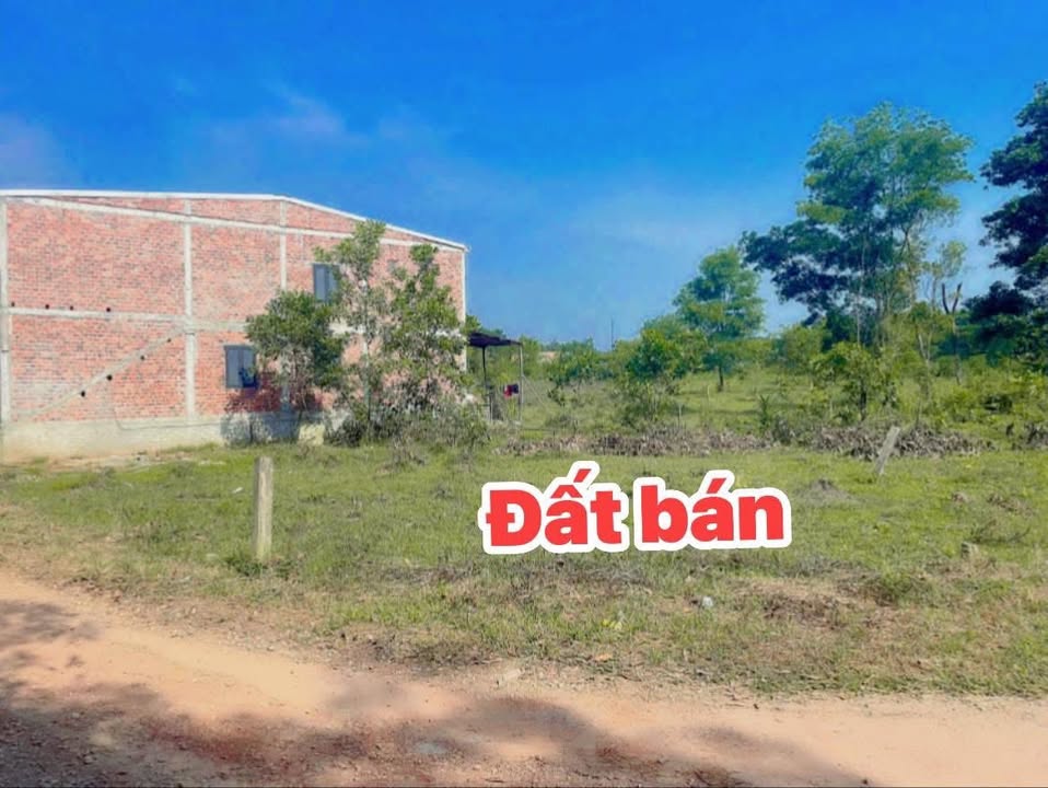 Đất nền Phong An, Phong Điền 200m² giá 600 triệu - Đầu tư sinh lời ngay!