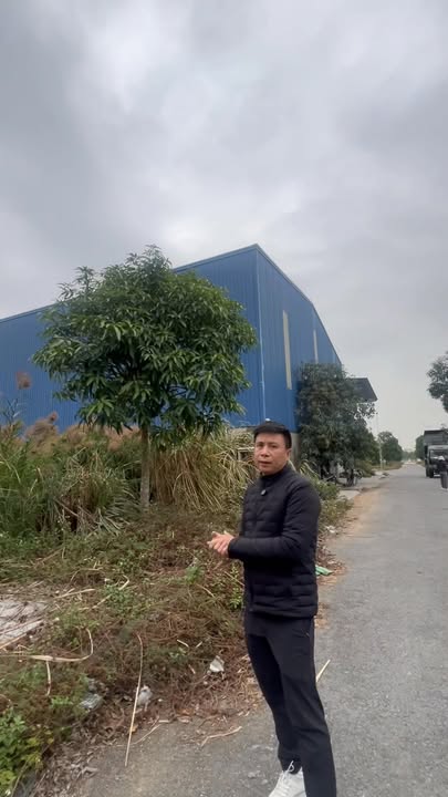 Đất nền Hoằng Thanh 105m² giá thương lượng - Cơ hội đầu tư sinh lời!