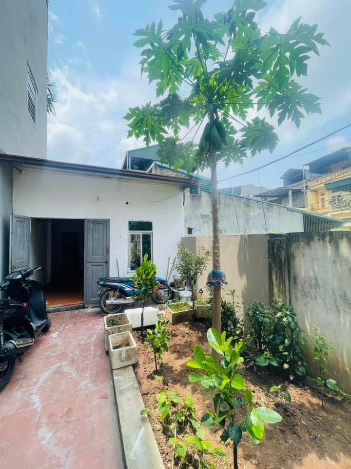 Nhà riêng cho thuê tại Đặng Xá - Gia Lâm 55m² giá chỉ 2.5 triệu/tháng - Sẵn sàng vào ở!