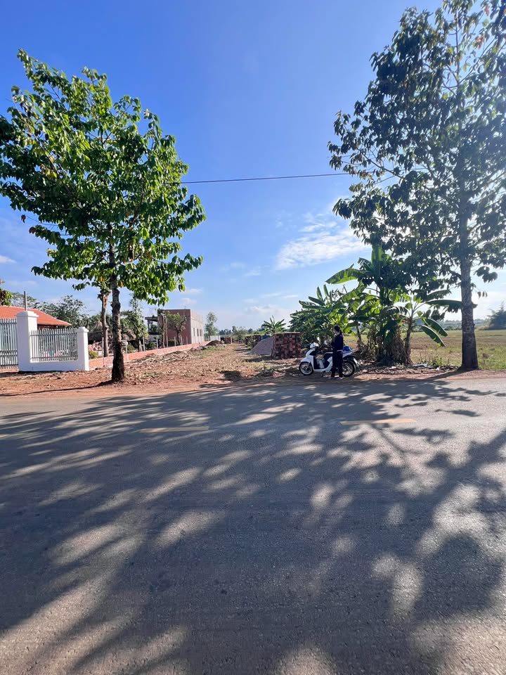 Bán gấp FrontHouse mặt tiền Duy Tân, Long Khánh 256m² chỉ 4,5 tỷ - Đầu tư sinh lời ngay!