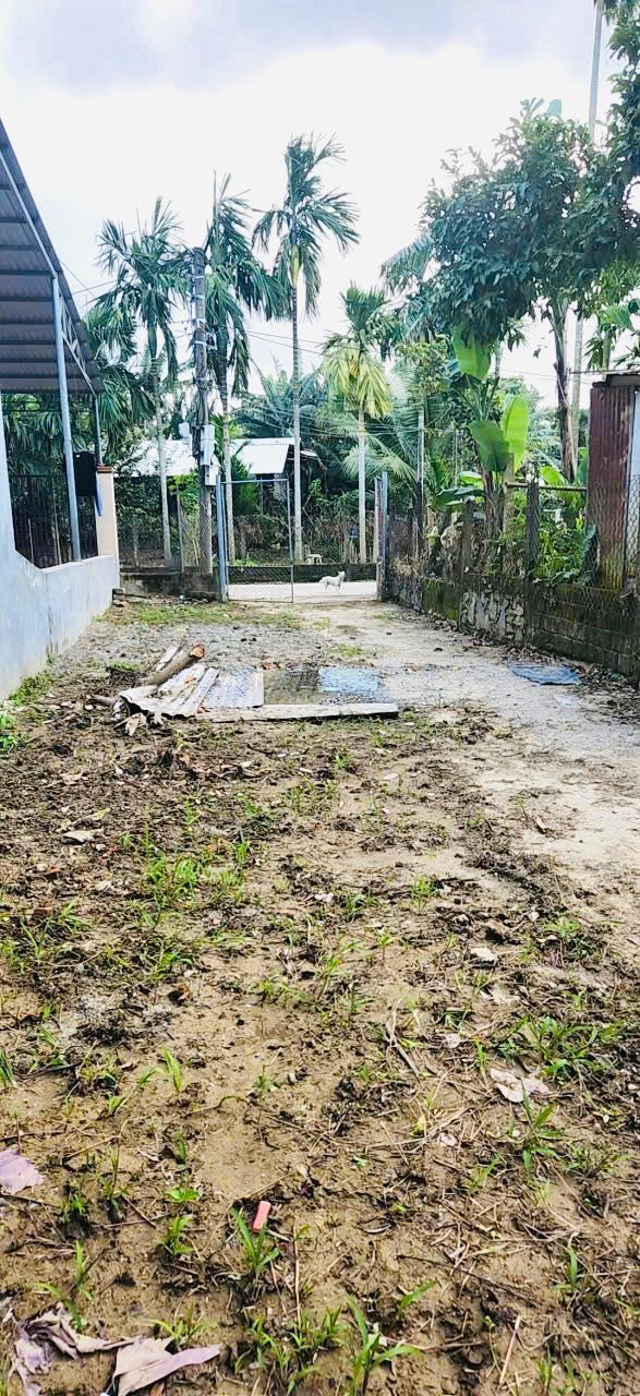 Đất An Trạch, Hòa Tiến, Đà Nẵng 100m² giá 1.2 tỷ - Cơ hội đầu tư hấp dẫn!