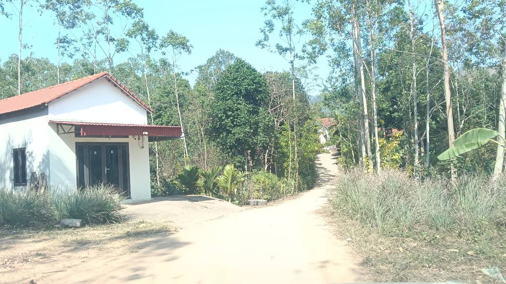 Đất nền Đồng Tiến, Yên Thế, Bắc Giang 329m² giá 299 triệu - Sổ đỏ pháp lý rõ ràng!