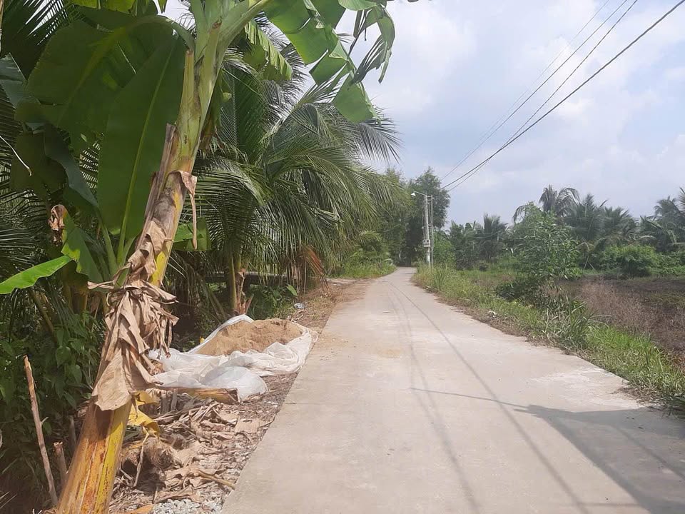 Đất Farm 3000m² đường Long Điền, xã Long Hưng - Giá 2,3 tỷ, đầu tư sinh lời!