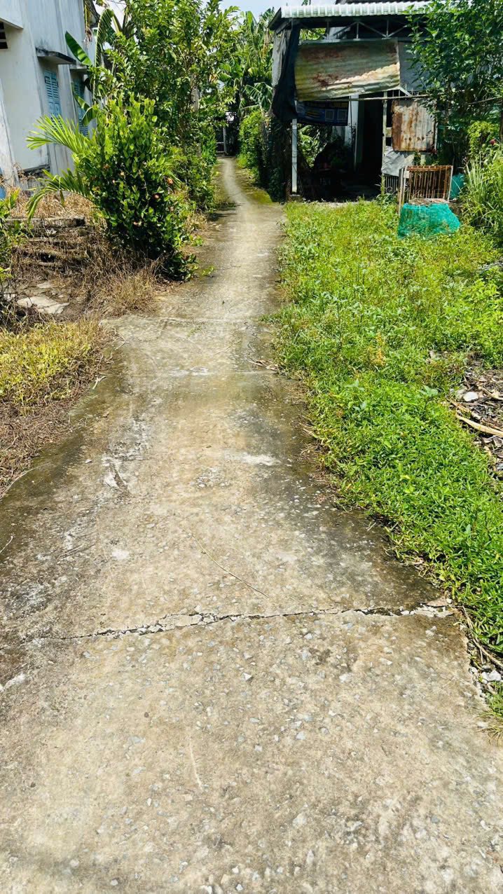 Đất nền Nhơn Thạnh Trung, Tân An 740m² giá 1.55 tỷ - Mặt tiền rộng, thuận tiện xây nhà vườn!