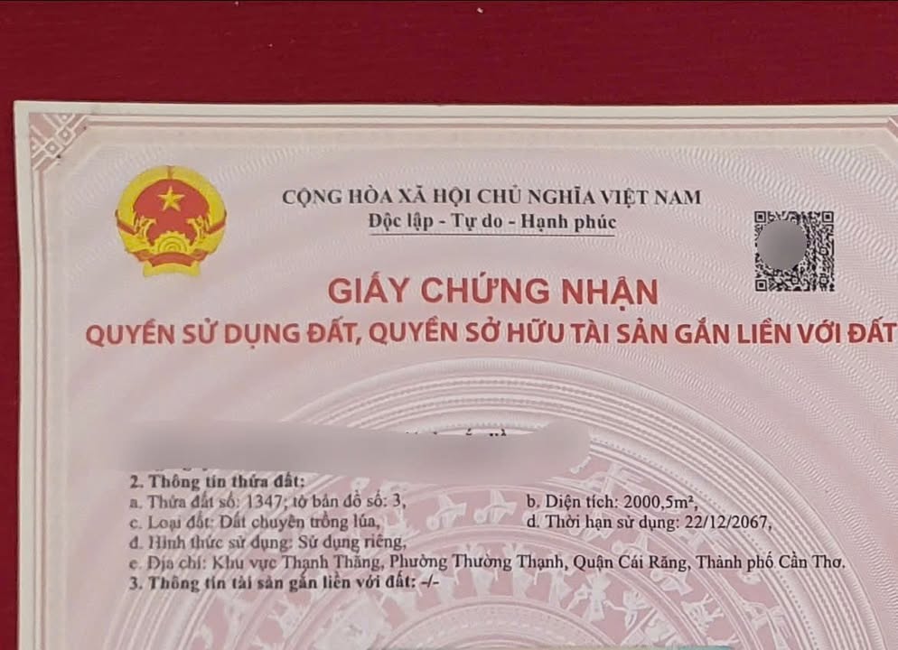 Đất 2000m² Thường Thạnh, Cái Răng - Đầu tư lý tưởng chỉ 2 tỷ