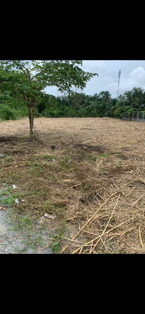 Đất nền 1000m² Tân Phú Thạnh, Châu Thành A giá 900 triệu - Cơ hội đầu tư hấp dẫn!