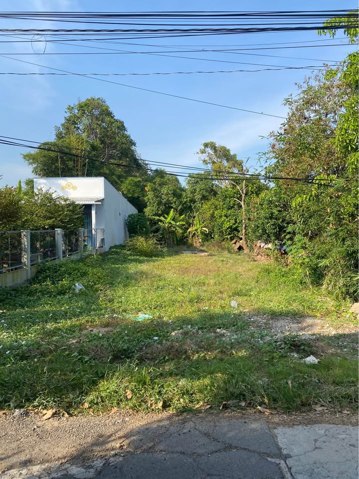 Đất nền 10m đường Quản Bạch, phường 6, TP.Cao Lãnh, 400m² - Giá chỉ 2 tỷ!