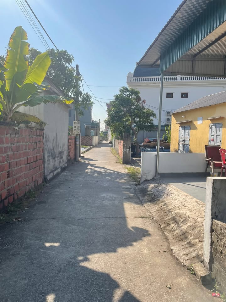 Đất nền tại Hà An, Quảng Yên 79m² giá 1 tỷ - Đường ngõ rộng rãi, hướng Đông