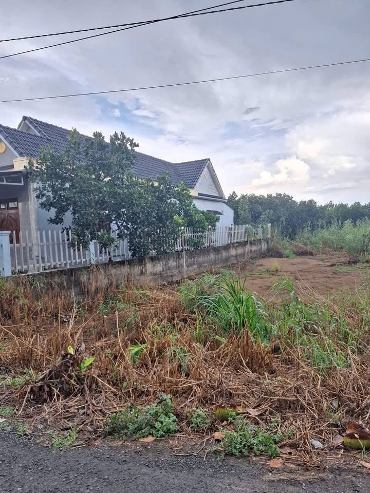 Bán Lô Đất Nền Liền Kề Đường Bà Học - Phường Mỹ Ngãi, 92m² chỉ 950 triệu!