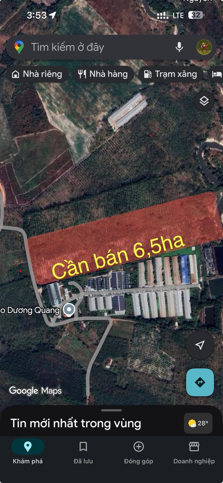 Bán đất An Lập, Dầu Tiếng 6.5ha - Vị trí đẹp tiềm năng cao!