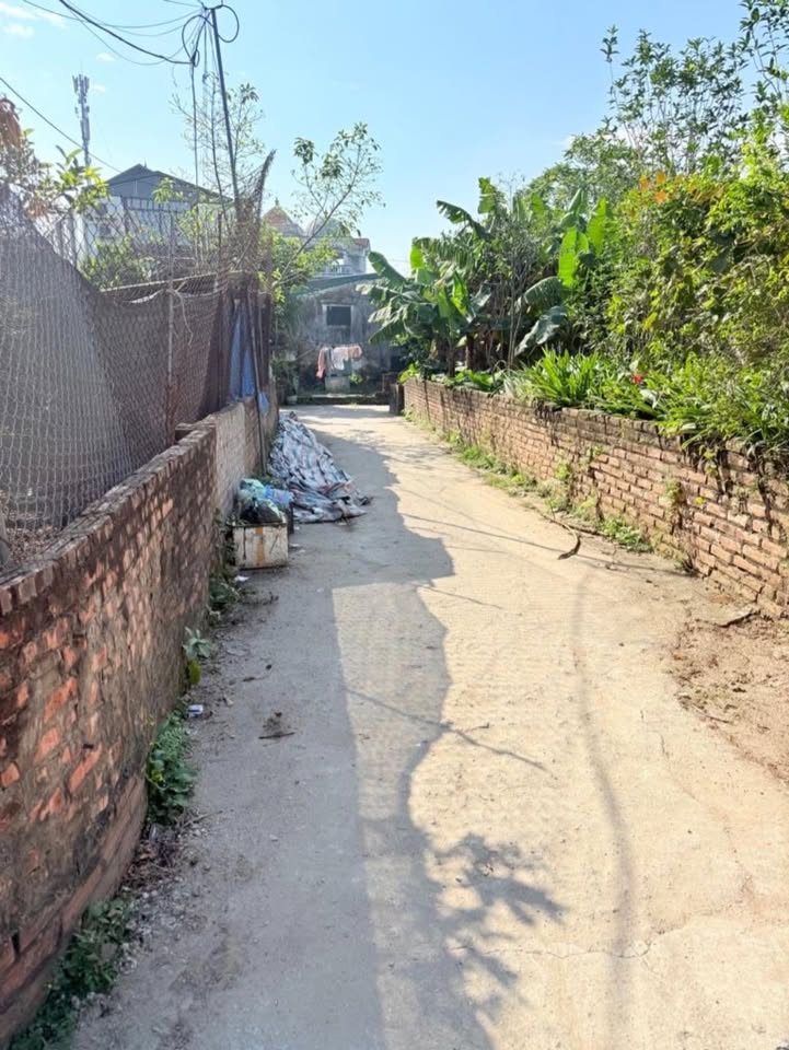 Nhà cấp 4 Xuân Khôi, Long Biên 50m² giá 4.3 tỷ - Ngõ ô tô vào tận nơi!