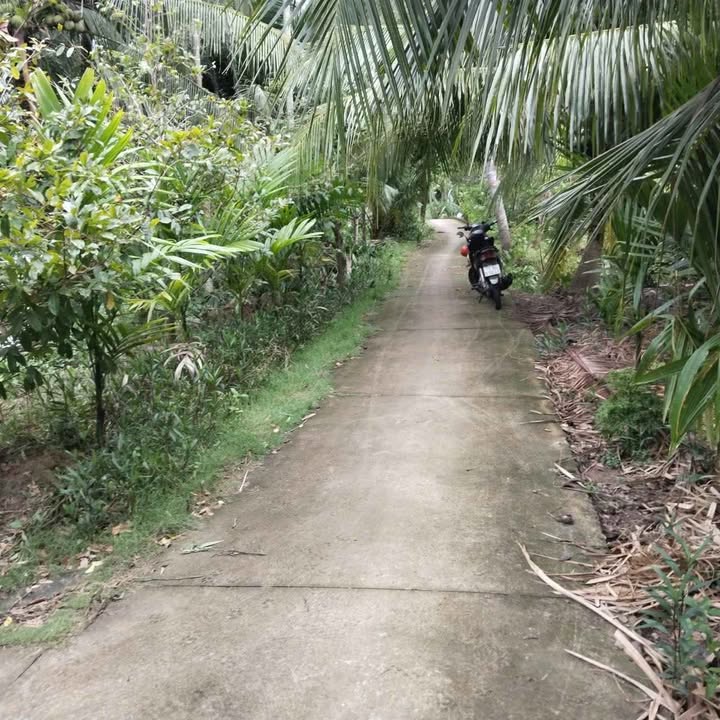 Đất mặt tiền sông xã Bình Hoà 1500m² giá 900 triệu - Đầu tư sinh lời ngay!