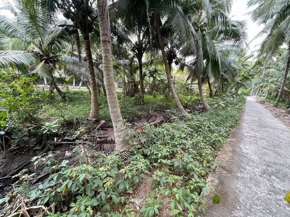 Đất nền 500m² Tân Thanh Tây - Giá chỉ 400 triệu, mặt tiền đường xe tải