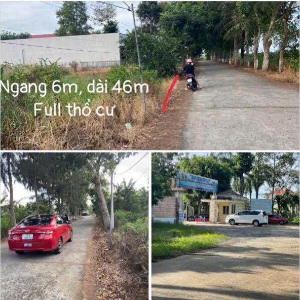 Đất nền biệt thự xã Lương Hoà, Giồng Trôm, Bến Tre 277.8m² - Giá chỉ 1.05 tỷ, không thương lượng!