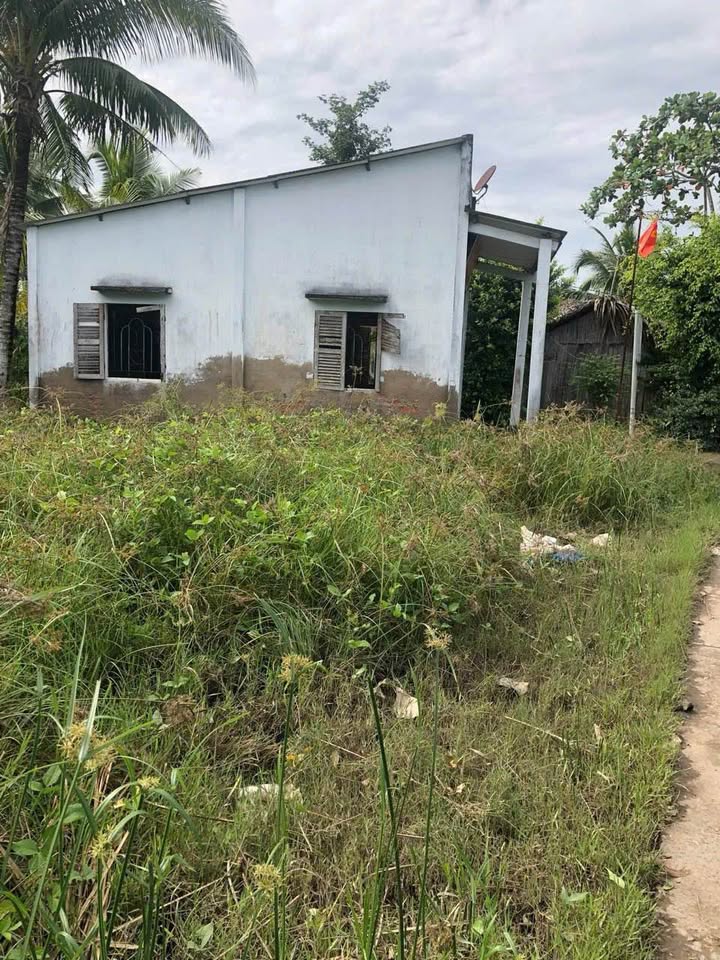 Đất nền 300m² tại ấp An Qui, huyện Mỏ Cày Nam - Giá chỉ 280 triệu