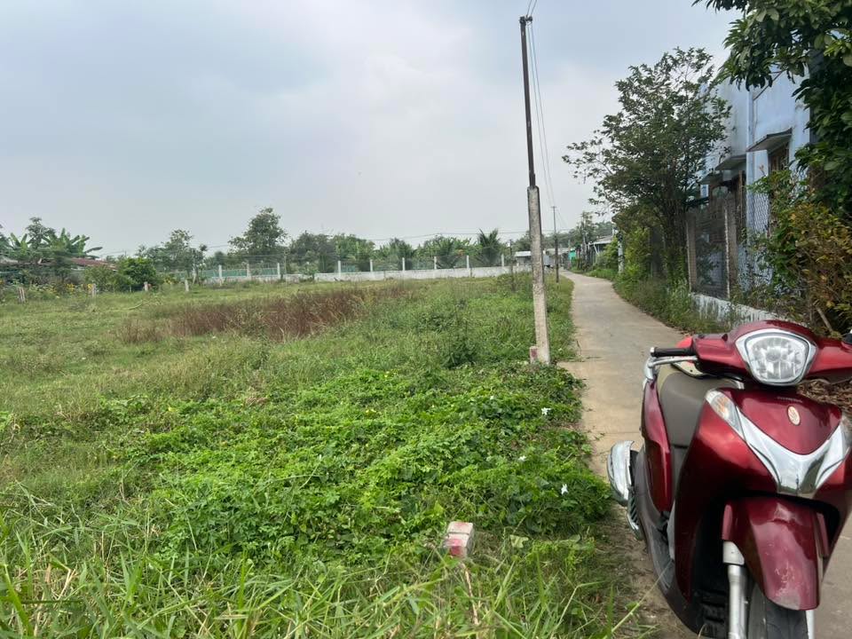 Đất thổ cư 140m² tại Bình Nghị, Gò Công Đông - Giá chỉ 320 triệu