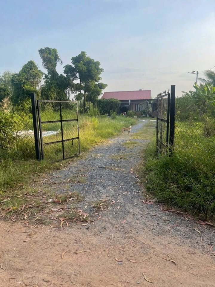 Đất biệt thự Tân An 2642m² chỉ 9 tỷ - Cơ hội đầu tư tốt!