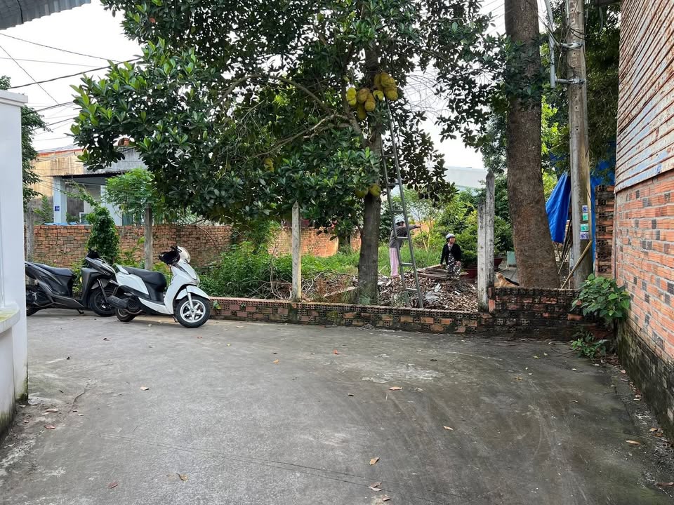 Đất nền Phú An, Bến Cát 114m² giá 1.1 tỷ - Đường ô tô vào tận nơi!