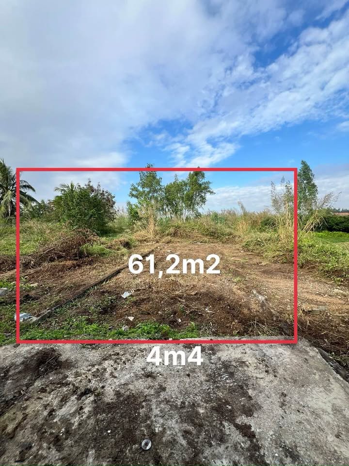 Đất nền Bạch Đằng, Thủy Nguyên 61.2m² giá 500 triệu - Cơ hội đầu tư hiếm có!