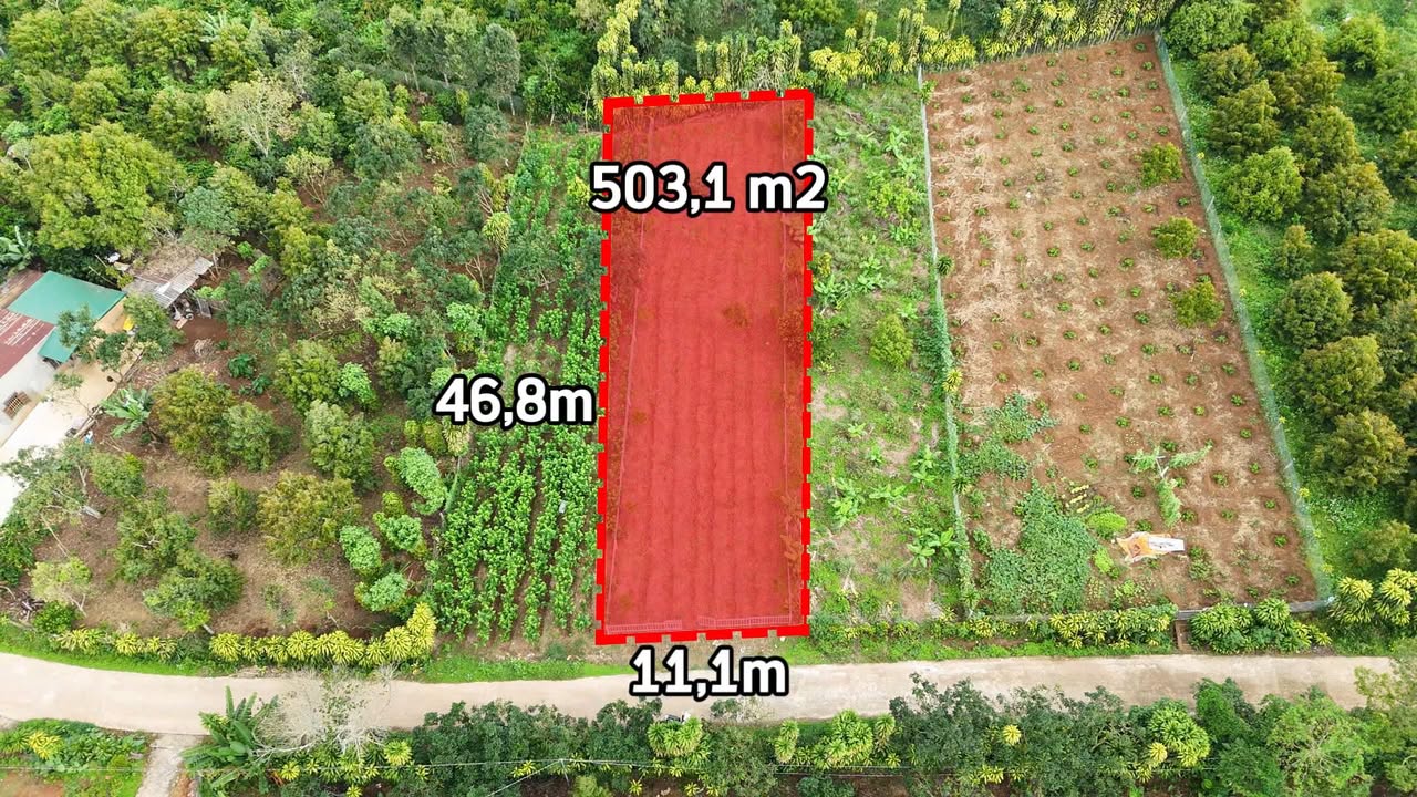 Đất nền Lộc Đức Bảo Lâm 503.1m² giá 1.29 tỷ - Cơ hội đầu tư tuyệt vời!