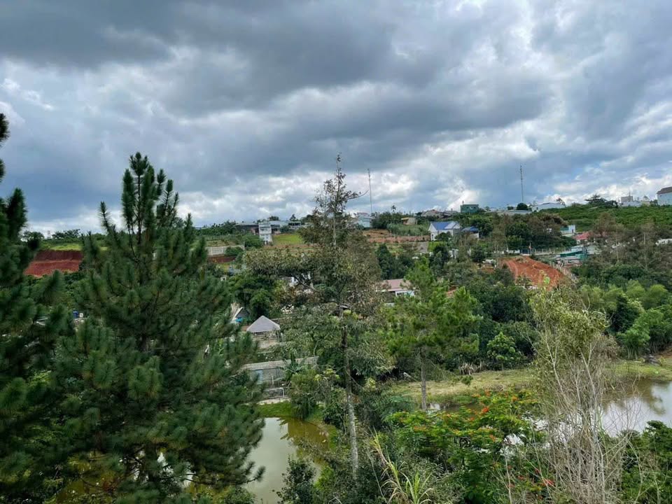 Bán đất hẻm 123 Mạc Đỉnh Chi, Bảo Lộc 800m² giá 6.5 tỷ - Đầu tư sinh lời ngay!