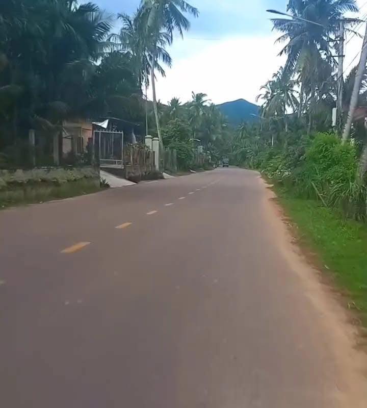 Đất thổ cư đường Trường Chinh, Hoài Xuân 174m² - Đầu tư sinh lời ngay!