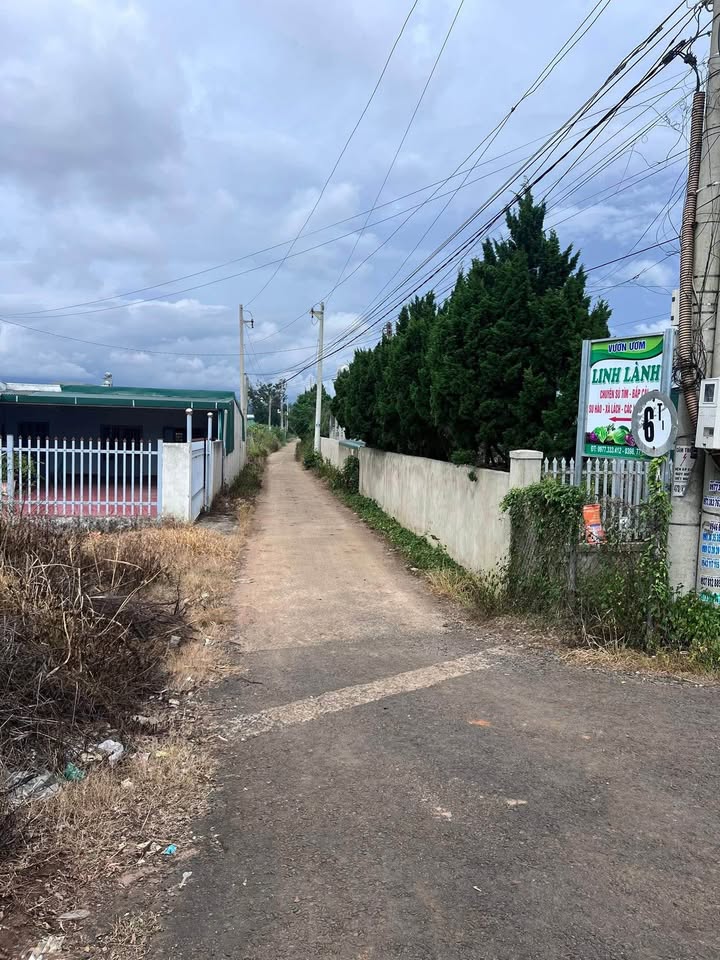 Đất đẹp Đức Trọng 185m² giá 1.1 tỷ - Đầu tư sinh lời tốt!