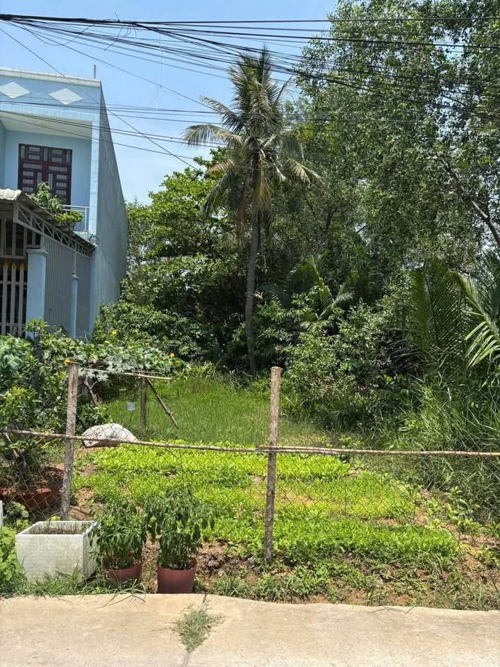 Đất nền xã Đại Phước - Nhơn Trạch 204m² giá 3 tỷ - Sổ đỏ chính chủ, công chứng nhanh!