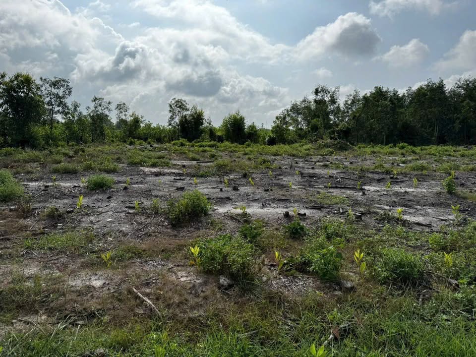 Đất nền Tân Phước La Gi 4000m² giá chỉ 16 tỷ - Cơ hội đầu tư sinh lời lớn!