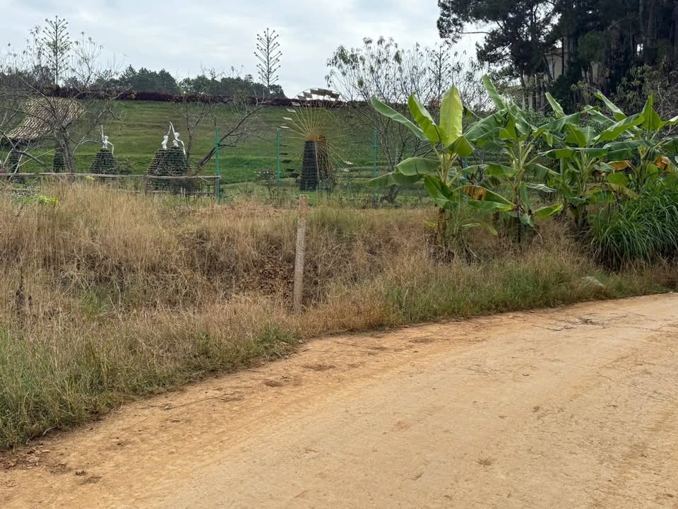 Đất Phường Mộc Sơn Mộc Châu 150m² - Đường Bê Tông, Cơ Hội Hiếm Có!