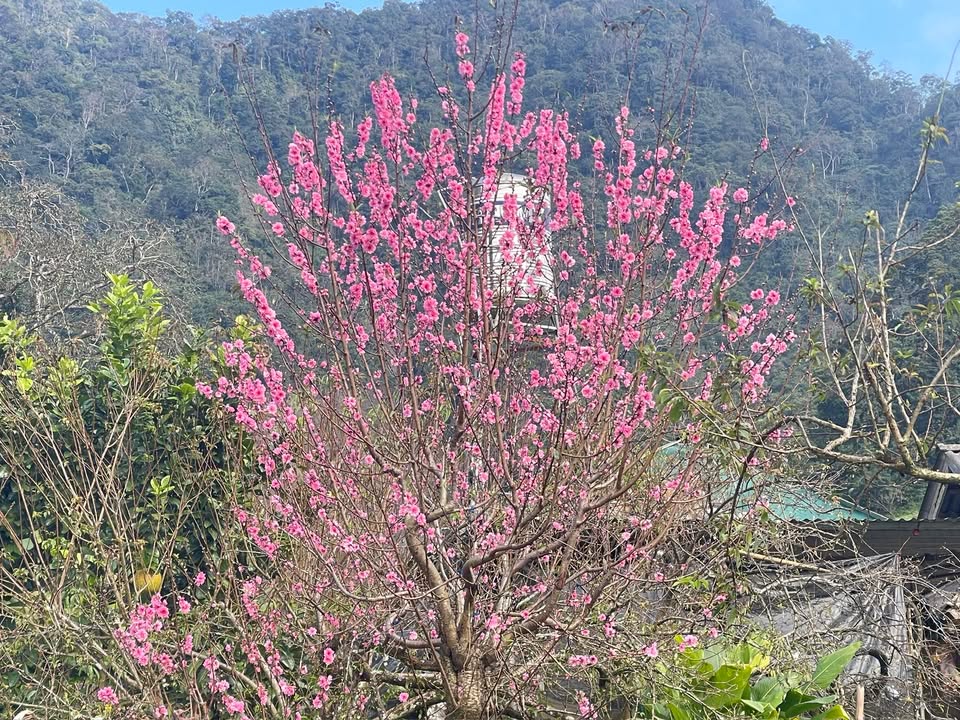 Đất nền 750m² tại phường Mộc Sơn, Mộc Châu - Chỉ 1 tỷ, pháp lý rõ ràng!