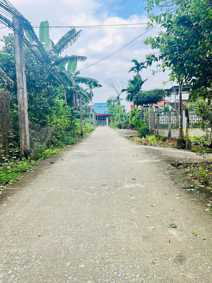 Đất nền Tam Xuân - Giá chỉ từ 600 triệu, Sổ đỏ chính chủ!