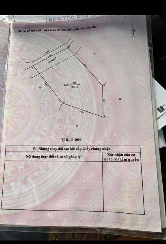 Đất nền 2ha tại Đoàn Kết, Bù Đăng - Giá chỉ 990 triệu, đầu tư sinh lời!