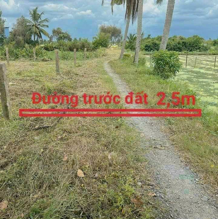 Đất thổ cư 105m² Bình An, Thủ Thừa giá 440 triệu - Ngay cơ hội đầu tư!