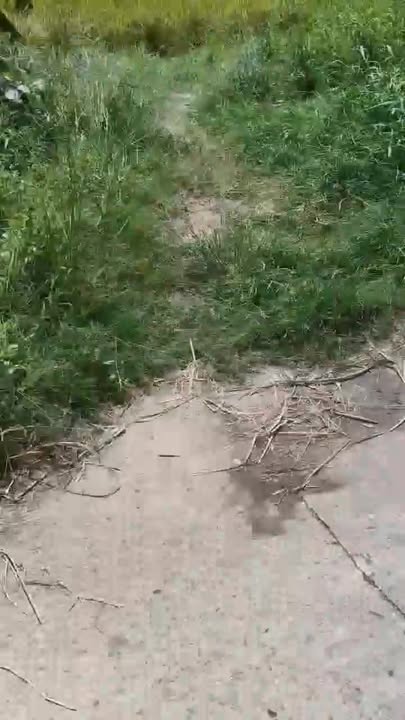 Đất nền 2.500m² xã Nhị Thành, Thủ Thừa, Long An - Giá chỉ 1.5 tỷ, thuận tiện đi lại!