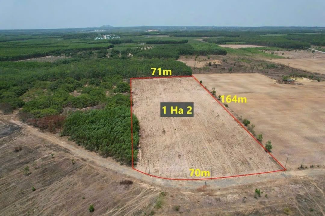 Đất nền Bưng Riềng Xuyên Mộc 1200m² giá thỏa thuận - Cơ hội đầu tư hấp dẫn!