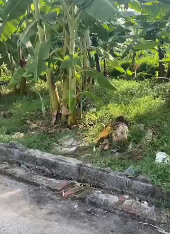 Đất nền xã Hồng Thái, Kiến Xương 80m² giá 300 triệu - Cơ hội đầu tư tuyệt vời!