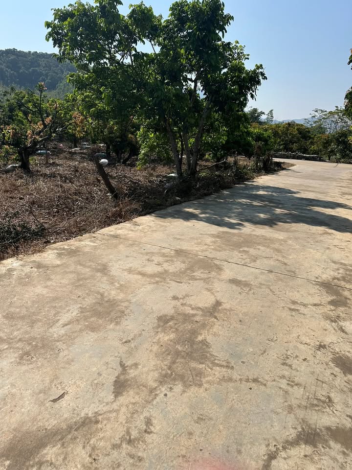 Đất nền Lục Sơn Lục Nam 1000m² giá 1.1 tỷ - Hai mặt tiền thông thoáng!