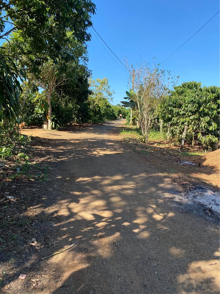 Đất nền Lộc Nga Bảo Lộc 713m² giá 2.05 tỷ - Cơ hội đầu tư sinh lời!